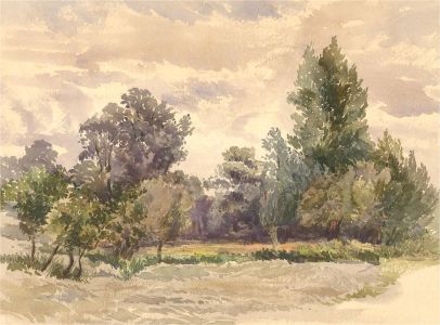 Early 20th Century Watercolour - Amongst the Trees