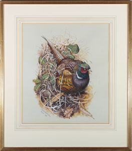 Richard Whittlestone - 1987 Gouache, A Pheasant