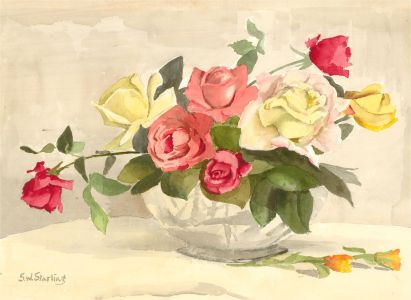 Sydney W. Starling (1889-1984) - 1970 Watercolour, Red and White Roses