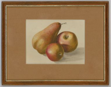 Mid 20th Century Watercolour - Apples And Pears