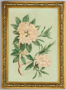 Pair of 20th Century Oils - Rhododendron