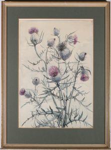 Margaret Seaton  - 20th Century Watercolour, Wooly Thistle