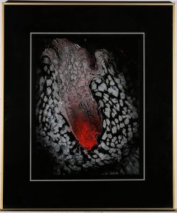 Gerald Gardiner - 20th Century Acrylic, Swirling Blackness