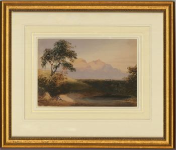 J.D.H - Framed Late 19th Century Watercolour, Saddleback