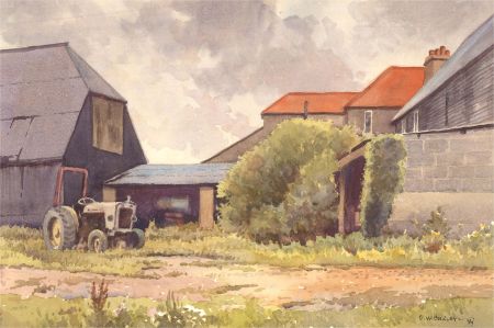 David William Burley (1901-1990) - 1989 Watercolour, The Backyard