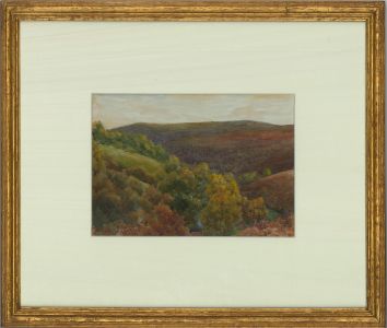 W.W. Collins - 19th Century Watercolour, Butterfly Combe