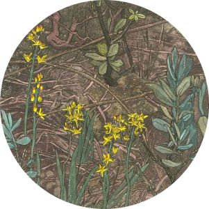 Signed and dated 1989 Etching - Narthecium Ossifragum