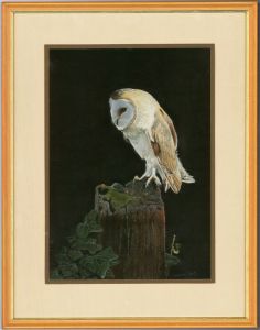 Geoffrey Kent  - 20th Century Pastel, Barn Owl