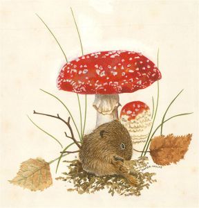 A. P - 20th Century Watercolour, Set of Four Hedgerow Animals