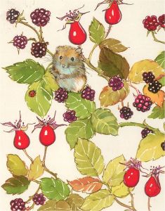 20th Century Watercolour - Set Of Six Botanical Illustrations