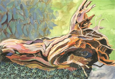 Gordon Metcalfe (b.1935) - 20th Century Watercolour, Uprooted Tree