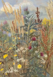 Bracher - 20th Century Gouache, Thistle and Grasses