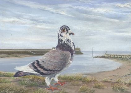 Eisie - 20th Century Pastel, Racer By the Sea