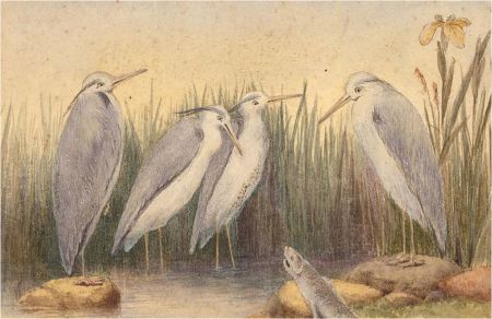 Anne, Elizabeth and Annie Salter - Late 19thC Watercolour, The Surprising Orator