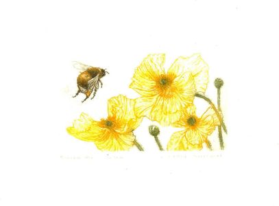 L. Valerie Christmas RCA  - Contemporary Etching, Bumble Bee