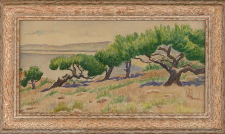 R. Koppel - Framed Mid 20th Century Watercolour, Pine trees on Mount Carmel