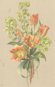 Helen Haynes - Mid 20th Century Watercolour, Euphorbia & Lilies