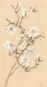 Helen Haynes - Mid 20th Century Watercolour, White Magnolia
