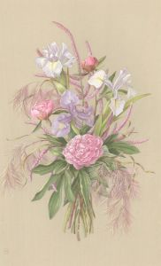 Helen Haynes - Mid 20th Century Watercolour, Pink & Purple Flowers