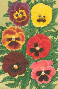 A. Twinning - Monogrammed 1957 Watercolour, Pansies