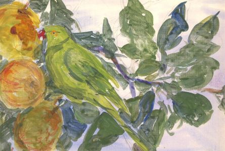 Ronald Olley (b.1923) - Mid 20th Century Oil, Green Parakeet