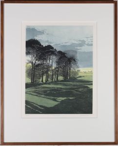 Phil Greenwood RE - Framed 1980 Etching, Shadowfield