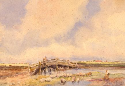 Early 20th Century Watercolour - Sheep In The Shallows