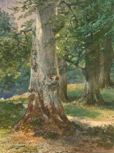 Early 20th Century Watercolour - Woodland Breeze