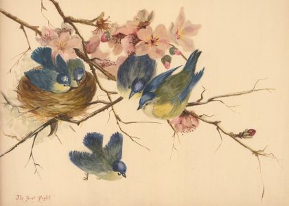 E.K - Initialled and dated 1893 Watercolour, The First Flight