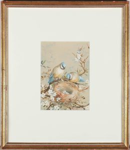 E. A. Rowlendson - Framed 19th Century Watercolour, Nesting Blue Tit