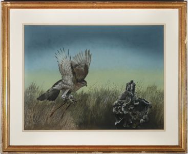 Martin Knowellden (b.1943) - Framed 1979 Gouache, Bird of Prey Landing