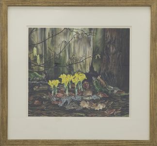 Lesley Fotherby (b.1946) - 20th Century Watercolour, First Signs of Spring