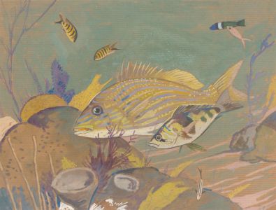 20th Century Gouache - Tropical Fish