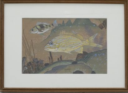Framed 20th Century Gouache - Fish of the Sea