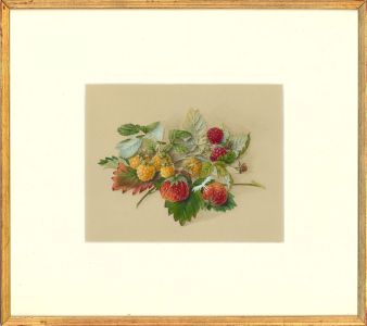 Framed Late 19th Century Watercolour - Strawberries & Raspberries