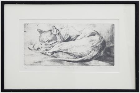 Caroline Kaltner  - 20th Century Aquatint, Sleeping Cat II