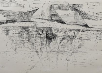 M. S.  - South African Achool 20th Century Lithograph, Watching Swans