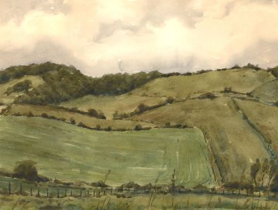 David Woodford (b.1938) - 20th Century Watercolour, Green Fields