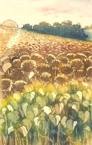 Sally Winter - Contemporary Etching, Sleepyheads