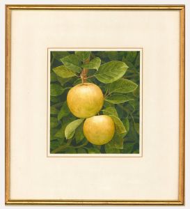 Nigel Ashcroft (b.1951) - 1986 Watercolour, Autumn Fruit, Apples