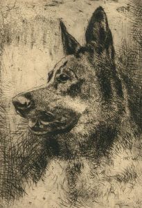 Herbert Cutner (1881-1969) - Drypoint, Portrait of a German Shepherd