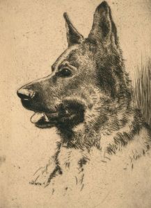 Herbert Cutner (1881-1969) - Drypoint, Portrait of a German Shepherd