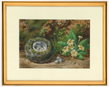 John Sowden (1838-1926) - Late 19th Century Watercolour, Bird Nest & Cowslips