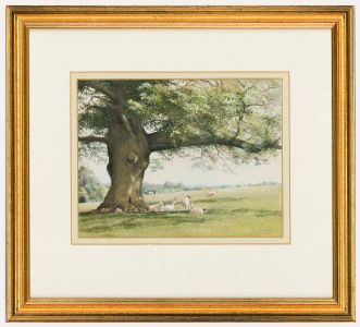 Joy Codd - Framed Contemporary Watercolour, Under the Oak