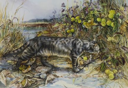 Lesley Fotherby - 20th Century Watercolour, Stalking Cat