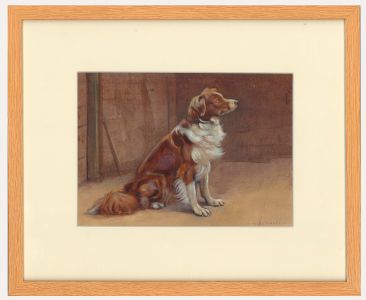 William Miles Johnston (1893-1974) - Watercolour, Portrait of a Border Collie