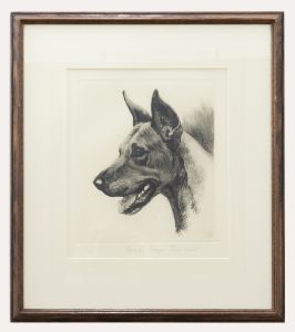 Kurt Meyer-Eberhardt (1895-1977) - Framed Etching, Study of a Great Dane