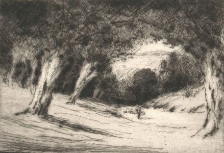 T. B. Cato - Early 20th Century Etching, In epping Forest