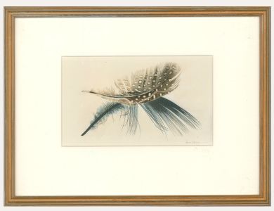 Anne Cherry MA RCA SWA - 20th Century Watercolour, Feather and Shadow