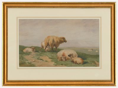 After Thomas F. Wainewright - Late 19th Century Chromolithograph, Sheep at Rest